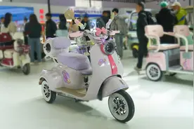 深度|需求逐年增长 休闲三轮车成电动自行车消费新增长点图片