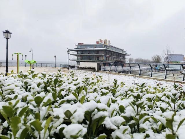 收藏！市北初雪限定美景，看完想立刻出门