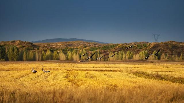 最懂松弛的北京中产,在内蒙玩得太“土”了