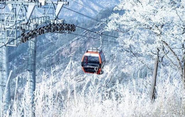 “洛阳怎么一下雪，就封神。”