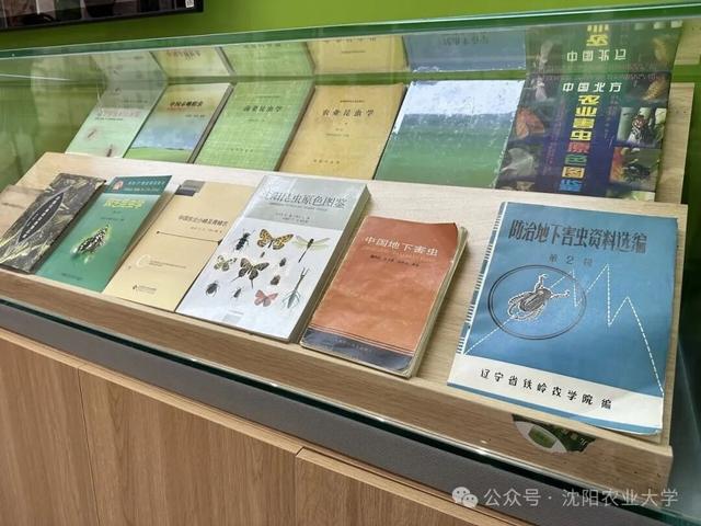 今天起免费开放！藏在沈阳校园里的博物馆+1！