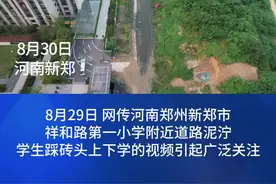 河南新郑一学校学生踩砖头走泥路上学 当地回应：即将全面恢复道路施工图片