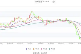 华新水泥：2024年上半年净利润7.31亿元 同比下降38.74%图片