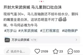 网友称河南一景区马儿“口吐白沫”，官方回应：属正常生理现象图片