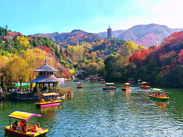 醉美深秋！济南红叶谷红叶引来大批游客