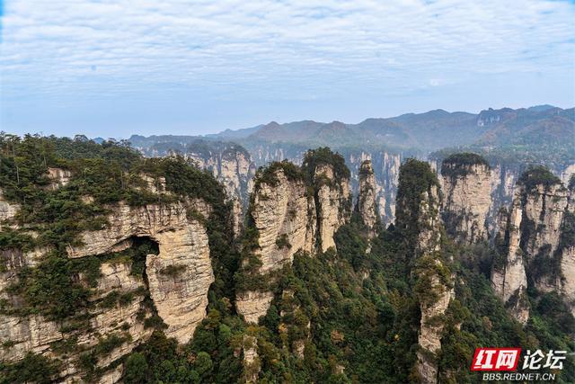 【每日一图@湖南】秋冬自驾必冲！张家界黄石寨暖阳峰林美到出圈