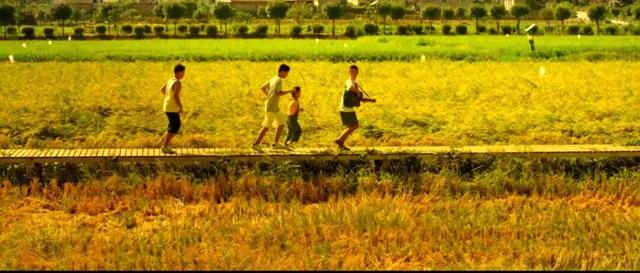 每一帧都很美！在电影《放下手机》里解锁南漳宝藏美景