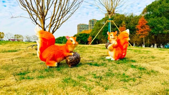 太仓人家门口的小游园+2