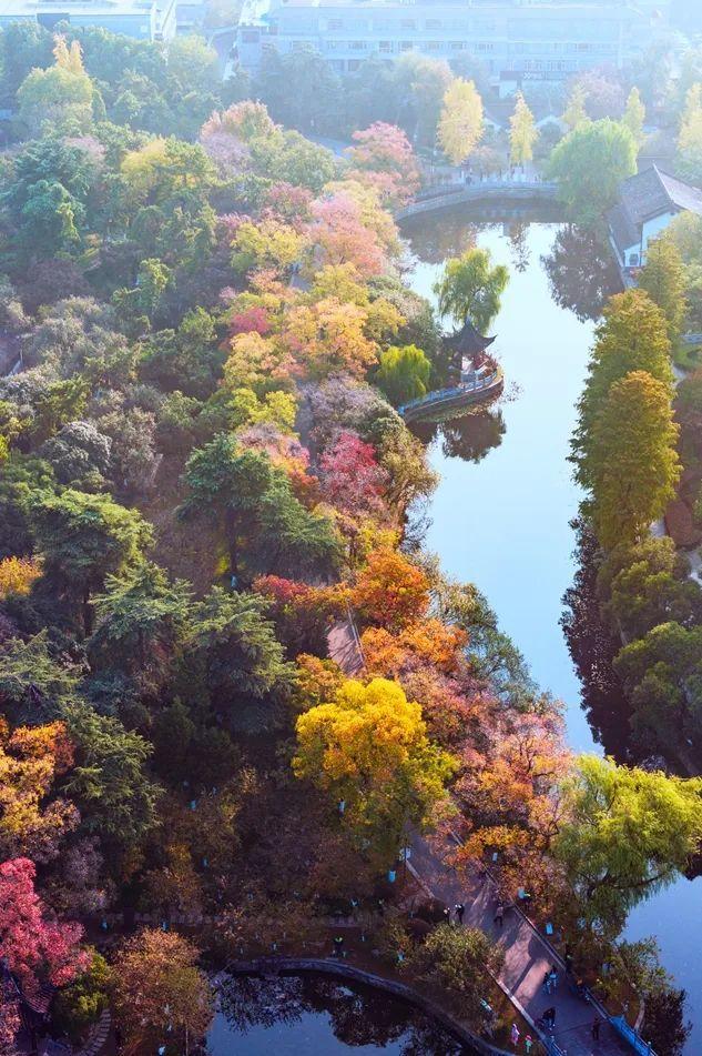 莫愁湖的四时美景，你见过多少？