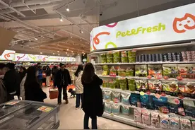 盒马创始人侯毅再创业为何押宝宠物鲜食？图片