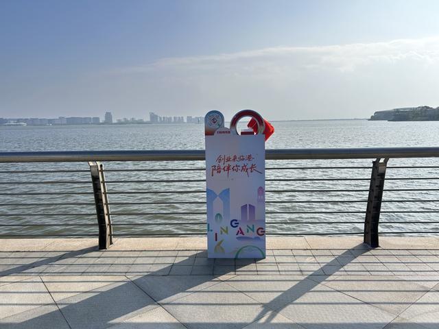 8万张专属消费券来了，每天领三轮！国庆假期快来临港“薅羊毛”