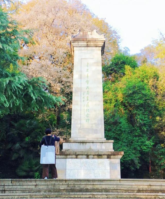 武昌赏秋天花板！这条被推荐100次的山路，迎来最美时刻