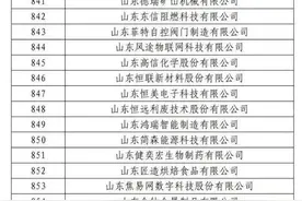2024年度山东省瞪羚企业名单公示，潍坊95+39图片