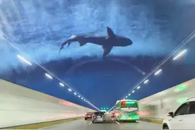 深中通道海底隧道“最美天幕”去哪啦？最新回应……图片