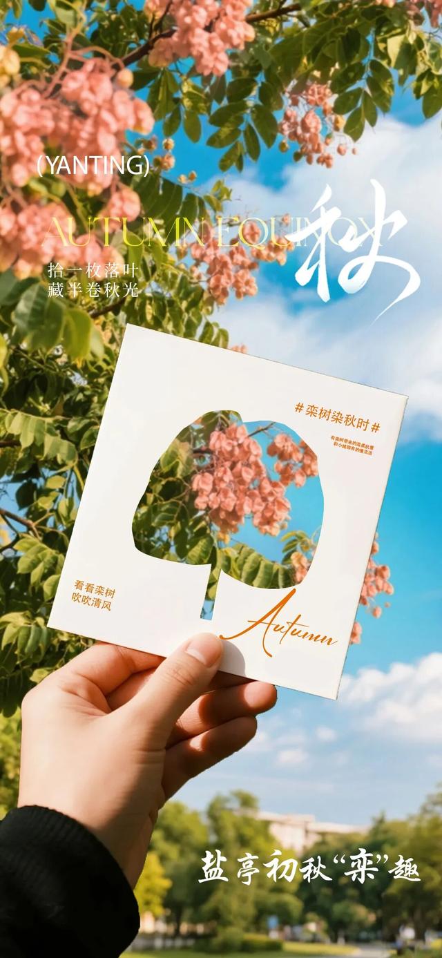 安逸四川 乐游绵阳 ‖盐亭初秋“栾”趣
