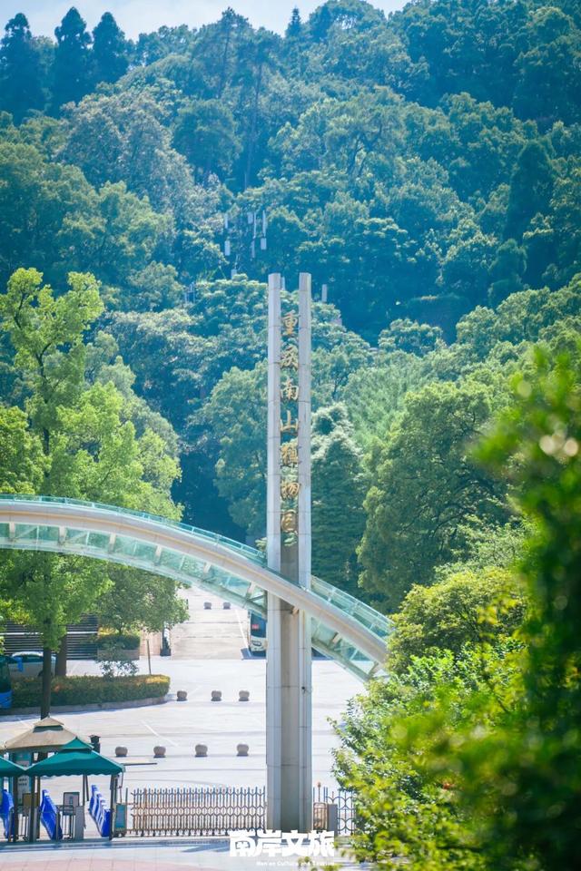 老师辛苦了丨这份教师节专属南岸浪漫，赠予最美的您！