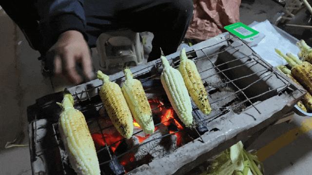 现在就出发，来姚安！