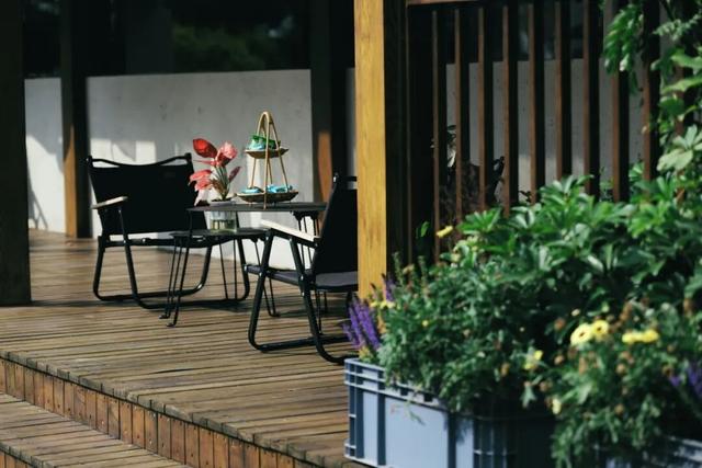 听，呼和浩特的秋天在喊你煮茶喝咖了