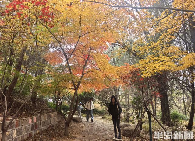 北九水网红路，周末打卡人气高！