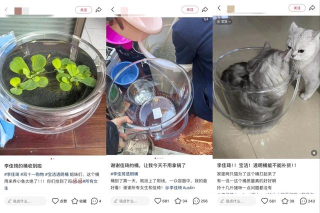 李佳琦直播间一个透明桶的“逆袭”：从一句留言到双11爆款