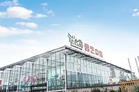 花名堂：专注水培盆景“搞名堂”图片
