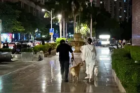 开屏观察｜不文明养狗再惹争议！错峰、反思、学习，昆明人行动起来了图片