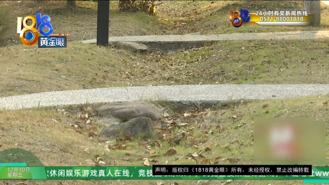 订1600元一晚的别墅套餐，还没住进去，妻子摔骨折了