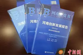《河南创新发展报告》首次发布 郑洛新居排行榜前三图片