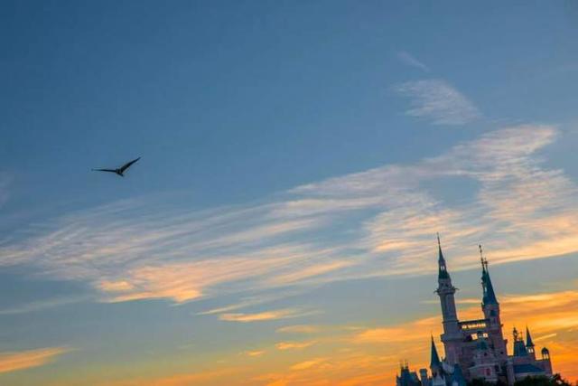 上海迪士尼乐园最新疯玩指南！看“雪”、撸萌友、炫美食，“奇幻冬日季”让你暖到心坎里～｜沪上金秋进博榜