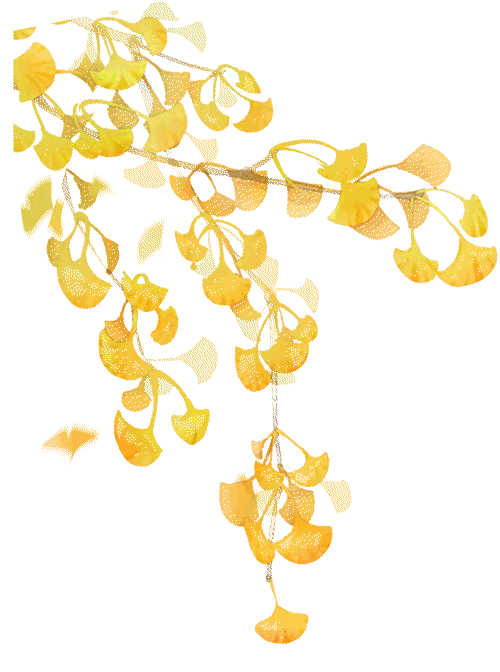 上海出发车程2小时内！邂逅太湖最美日落！4折套餐专享购就要结束！（内有免费住宿惊喜）