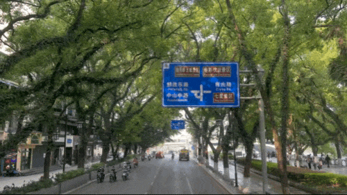坐上公交游八桂 一路繁花一路景
