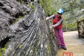 极目新闻记者对话地大女教授：在哀牢山科考近20年，一天经历四季也曾迷路过图片