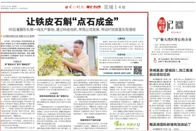 这个95后青年让铁皮石斛“点石成金”丨新农人 兴农计⑫图片
