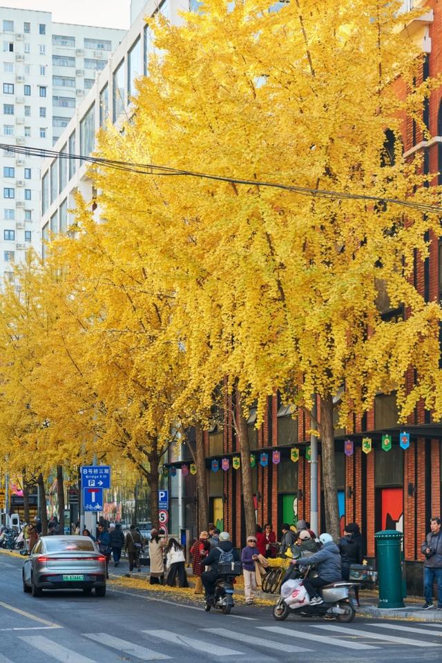 "全上海人都来了吧…"今天这条路什么情况？大堵车！还有30万人抢破头↗