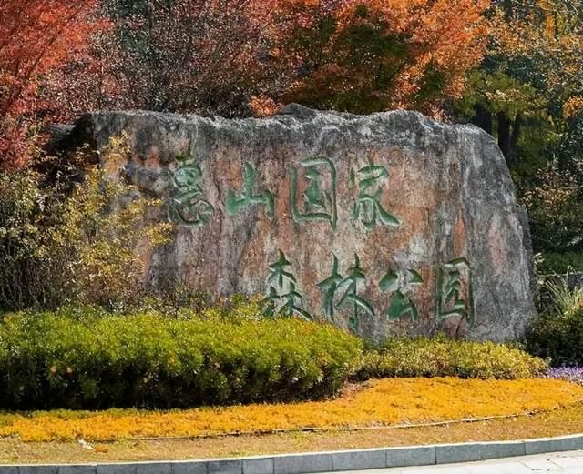 体荟四季｜秋日遛娃去哪？答案藏在这5座森林公园里