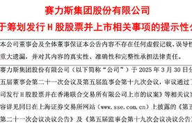 赛力斯，大消息图片