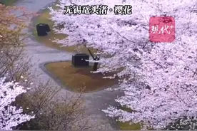 赏春花！接下来的江苏美成这样……图片