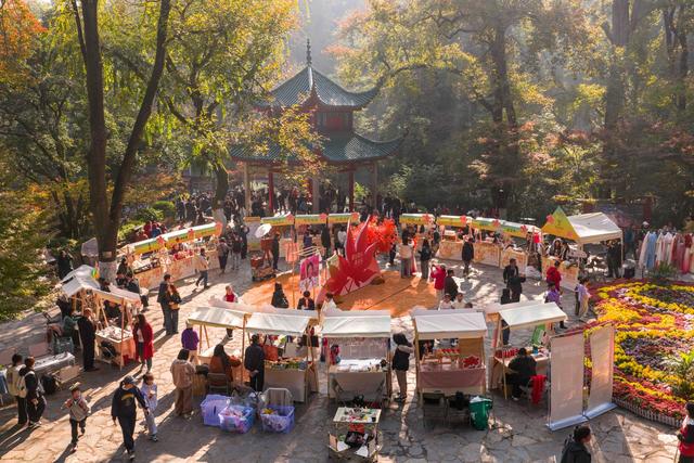 2025年岳麓山第19届红枫季焕新登场，四大主题活动解锁文旅盛宴