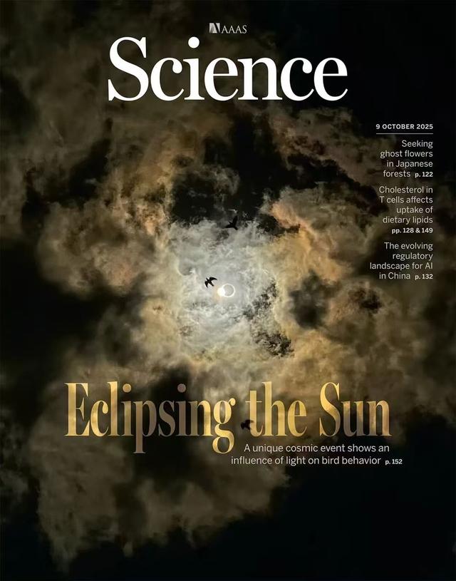 同济大学文科学者成果登顶刊《科学》，展示AI监管的“中国智慧”