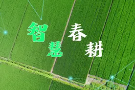 种地！中国人是有点天赋在身上的~图片