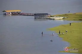 大理巍山：暑期旅游畅享清凉时光图片