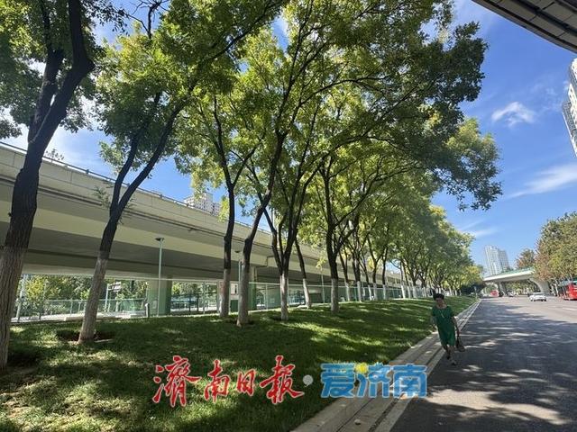 初秋“上新”！济南燕山立交桥下景致迷人