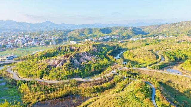荒坡秃岭“长出”生态公园