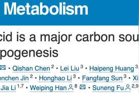 碳水和脂肪不“背锅”了，科学家首次证实：蛋白质才是脂肪肝的主要营养风险因素！图片