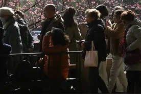 今日立春 成都锦江边梅花开｜图集图片