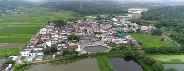 看过来！四会这波“宝藏”研学路线必冲→