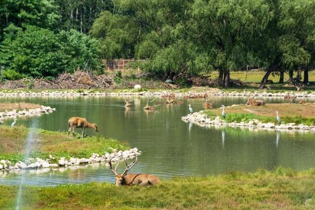 炎炎夏日，就去北京这些自带“空调”的凉快地儿→