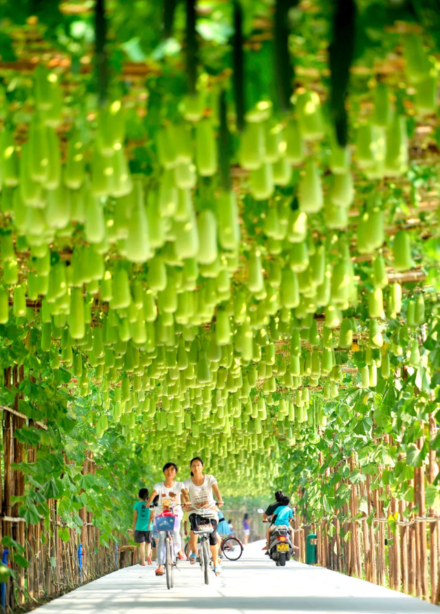 来南沙看五月天！看海、骑行……100+网红打卡点合集→