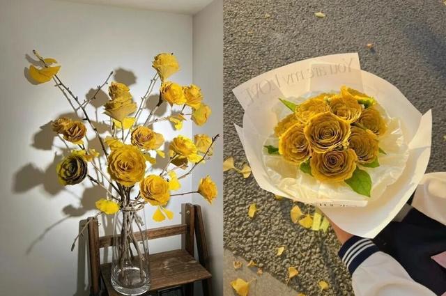 秋日限定“双骄”：从赏到玩转的完整攻略！