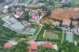 娄星区万宝镇石塘村：党建引领“赋能聚力” 乡村振兴“一路生花”图片